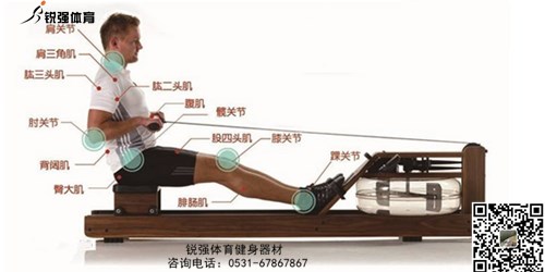 划船机和乐动手机平台,IOS/安卓通用版/手机APP入口
哪个锻炼更有效